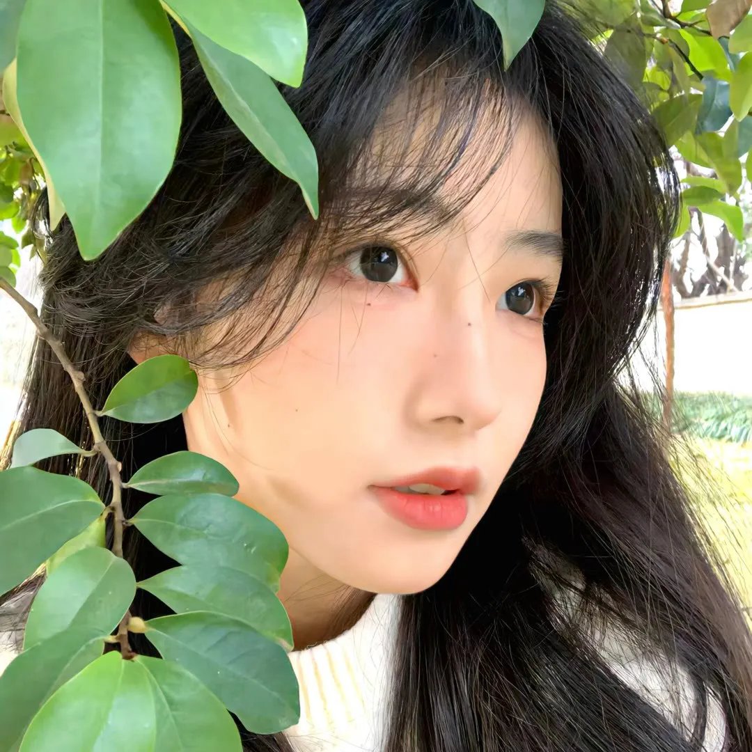 天机密令